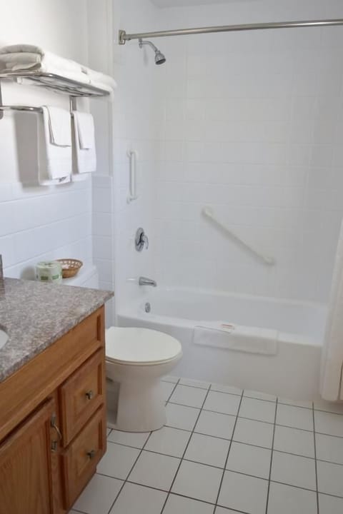 Room, 1 King Bed, Non Smoking | Bathroom | Combined shower/tub, free toiletries, hair dryer, towels