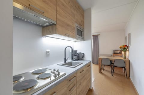 Apartment | Private kitchen | Electric kettle, toaster