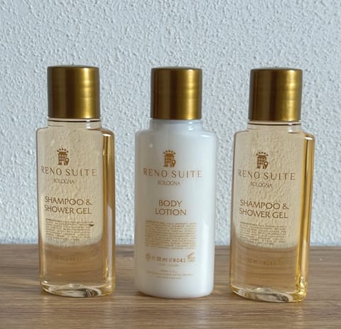 Shower, free toiletries, hair dryer, bidet