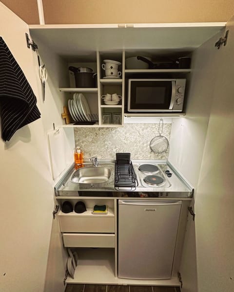 Fridge, stovetop, cookware/dishes/utensils