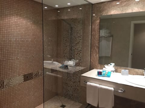 Combined shower/tub, free toiletries, hair dryer, bathrobes