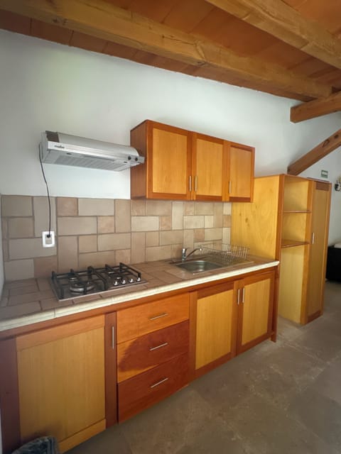 Family Bungalow, Garden View | Private kitchen