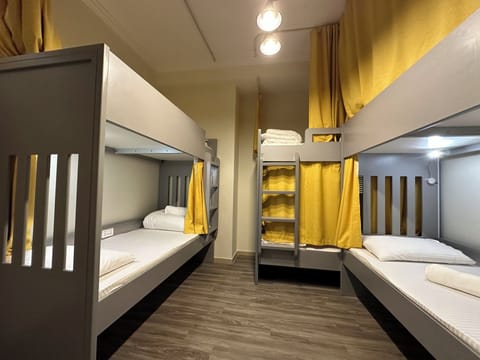 Deluxe Shared Dormitory, City View | Iron/ironing board, free WiFi
