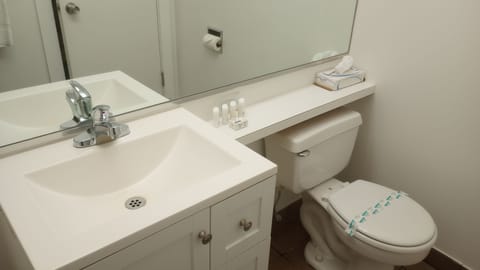 Standard Quadruple Room | Bathroom | Combined shower/tub, hair dryer, soap, shampoo