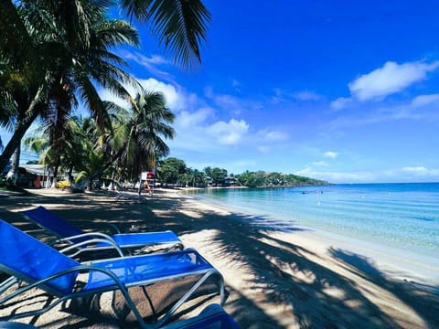 On the beach, white sand, beach bar