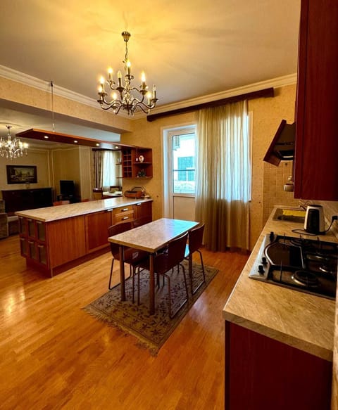 Deluxe Apartment, 3 Bedrooms, Balcony, City View | Private kitchen