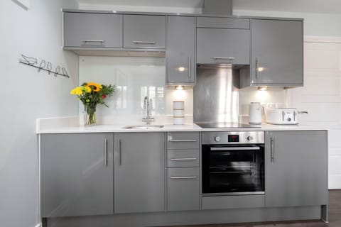 Apartment | Private kitchen | Mini-fridge, oven, stovetop, electric kettle