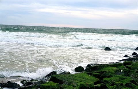 Apartment | View from property