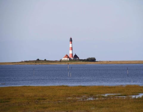 Apartment | View from property