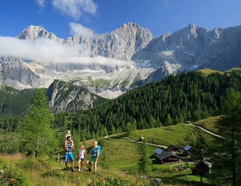 Apartment | View from property