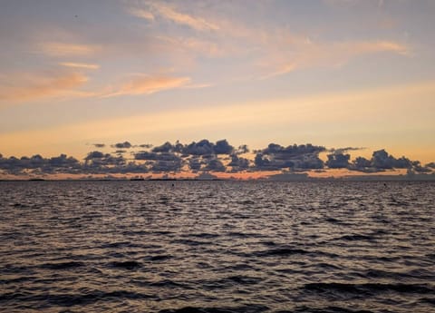 House | View from property