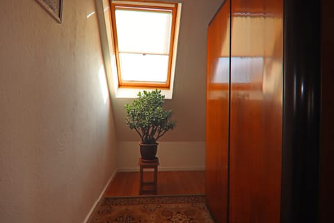 Apartment | Interior