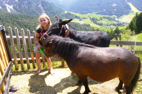 Apartment | View from property