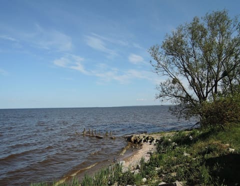 House | View from property