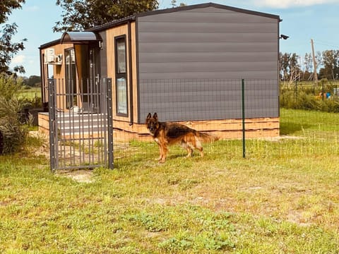 House | View from property