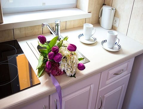 Apartment | Private kitchen