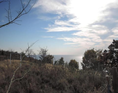 Bungalow | View from property