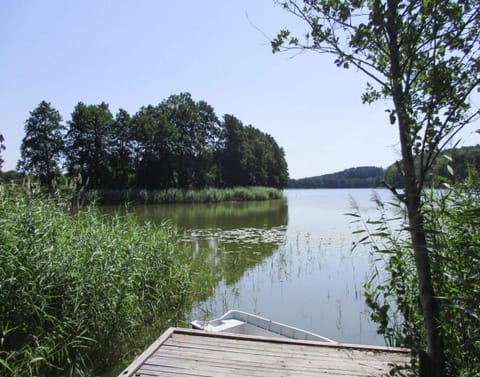 House | View from property