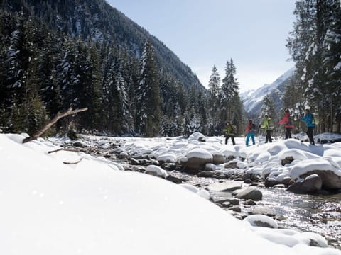 Apartment | View from property