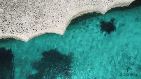 Beach nearby, white sand, beach towels, 10 beach bars