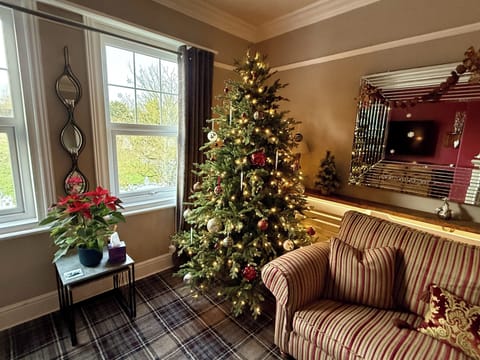 House | Living area | TV, fireplace