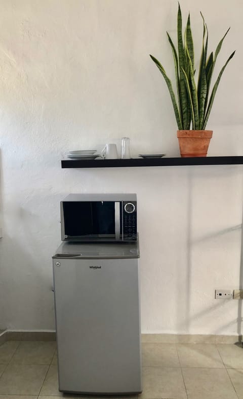 Standard Studio | Mini-refrigerator