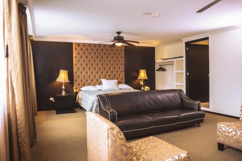 Deluxe Studio, 1 King Bed | Soundproofing, free WiFi