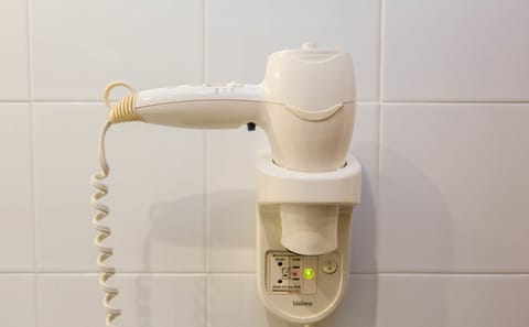 Shower, free toiletries, hair dryer, bidet