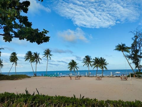 Beach nearby, beach towels, beach volleyball, 2 beach bars