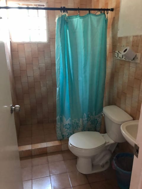 Combined shower/tub, rainfall showerhead, towels, soap