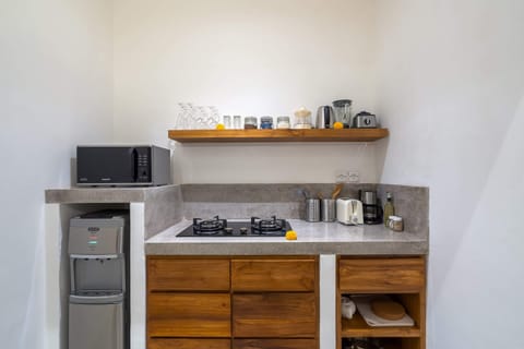 Basic Villa | Private kitchen | Fridge, microwave, stovetop, electric kettle