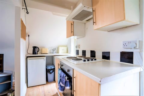 Apartment | Private kitchen | Fridge, microwave, oven, stovetop