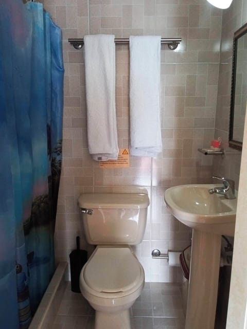 Family Quadruple Room, Balcony, City View | Bathroom | Shower, hair dryer, towels, soap