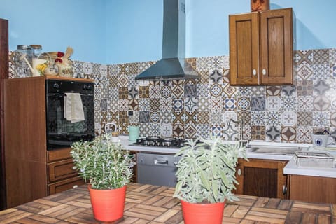 House, 2 Bedrooms, Balcony, Courtyard Area | Private kitchen | Fridge, oven, stovetop, dishwasher