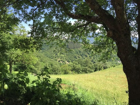 Classic House, 1 Bedroom | View from property