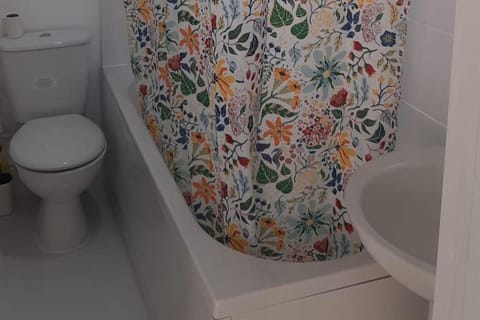 Studio | Bathroom | Shower, towels, toilet paper