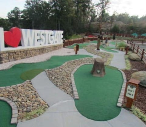 Mini-golf