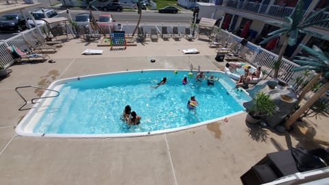 Outdoor pool, sun loungers