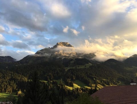 House | View from property