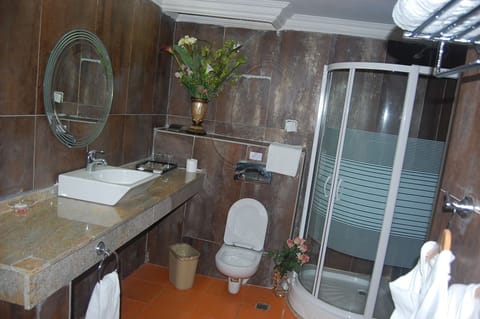 Superior Room | Bathroom | Combined shower/tub, free toiletries, hair dryer, bathrobes