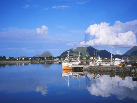 House | View from property