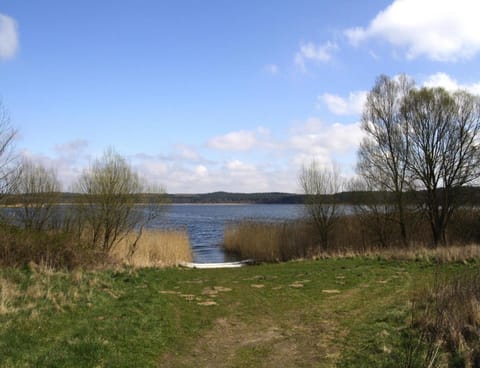 House | View from property