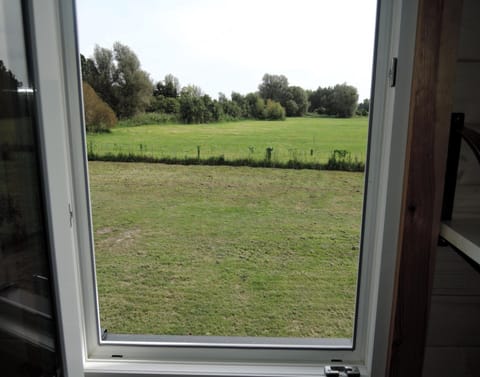 House | View from property