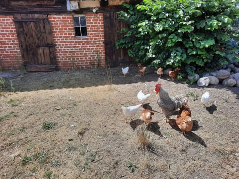 House | View from property