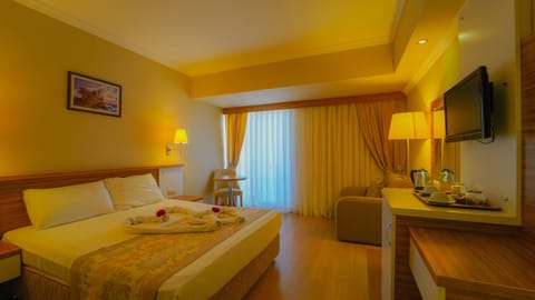 Standard Double or Twin Room | Minibar, in-room safe, free rollaway beds, free WiFi