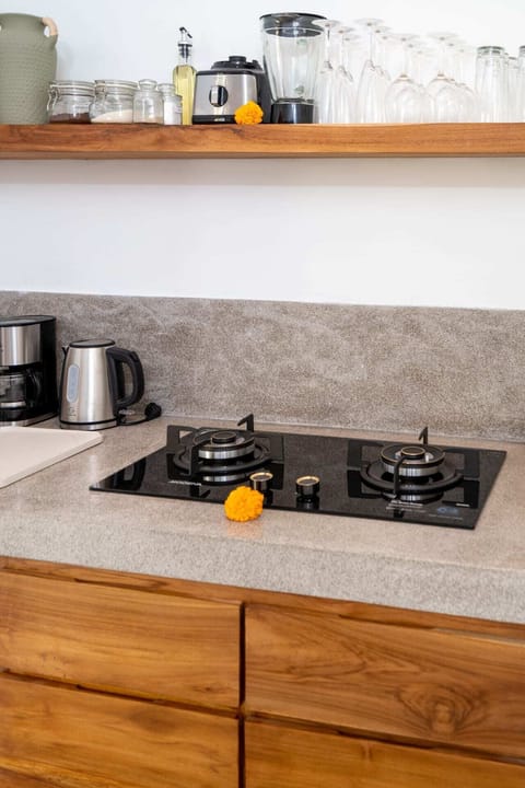 Basic Villa | Private kitchen | Fridge, microwave, stovetop, electric kettle