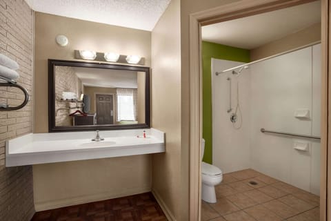 Standard Room, 1 King Bed, Accessible | Bathroom shower