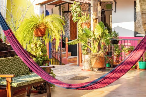 Business Room | Terrace/patio