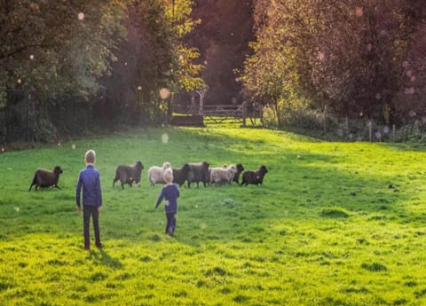 Classic House, 3 Bedrooms | View from property