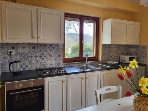 Comfort House, 4 Bedrooms | Private kitchen | Fridge, oven, dishwasher, coffee/tea maker